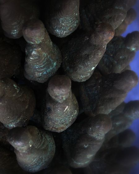 ล้างผิว รูปหล่อ-เหรียญหล่อจอบใหญ่ หลวงพ่อเงิน รุ่นปืนแตก วัดคงคาราม (บางคลานใต้) ตัดจากช่อกรรมการ รูปที่ 11