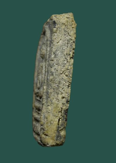 พระสมเด็จวัดระฆัง รูปที่ 3