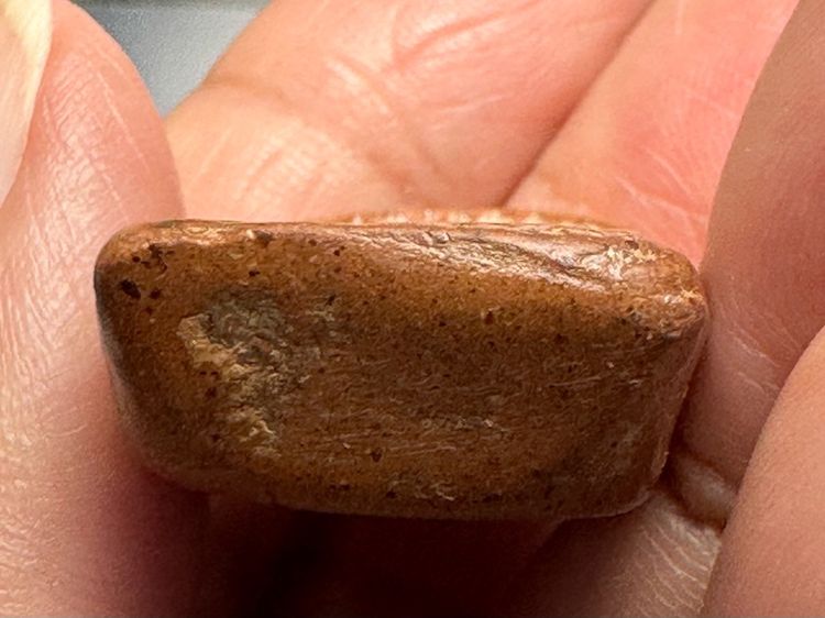 🙏พระกำแพงซุ้มกอพิมพ์ใหญ่🙏พระสมเด็จพิมพ์ทรงเจดีย์ องค์ละ1550 รูปที่ 9