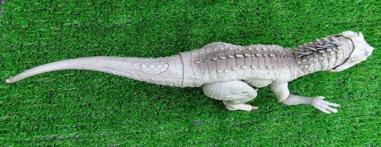 ฟิกเกอร์ของเล่นไดโนเสาร์ Indominus Rex จาก Jurassic World รูปด้วยแสง, เสียงและการเคลื่อนไหว รูปที่ 4