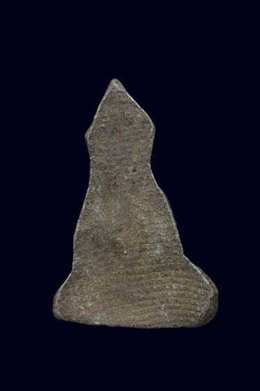 พระนาคามเนื้อชิน รูปที่ 3