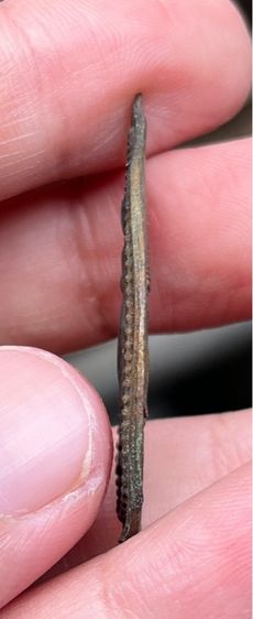 เหรียญพระร่วง องค์พระปฐมเจดีย์ รูปที่ 4