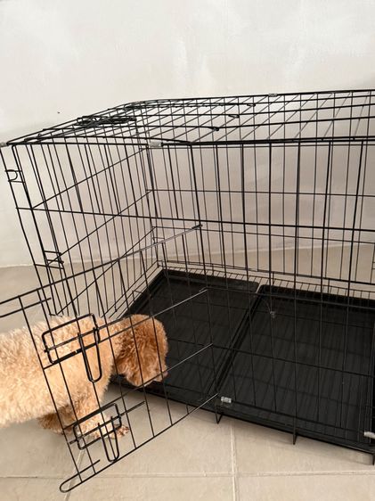 Foldable Dog Cage รูปที่ 3