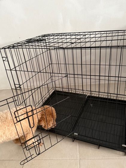 Foldable Dog Cage รูปที่ 4