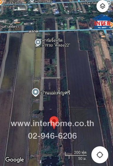 ที่ดินเปล่า 100 ตร.ว. ที่ดินเปล่า ใกล้โรงเรียนผดุงอิสลาม ถนนรังสิต-นครนายก ถนนตลาด องครักษ์ นครนายก รูปที่ 2