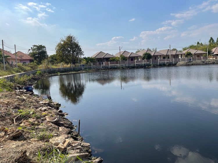 💥🌟ที่ทำเลทอง 🌟💥ที่ดินบ่อปลา 3ไร่17ตรว. รูปที่ 2