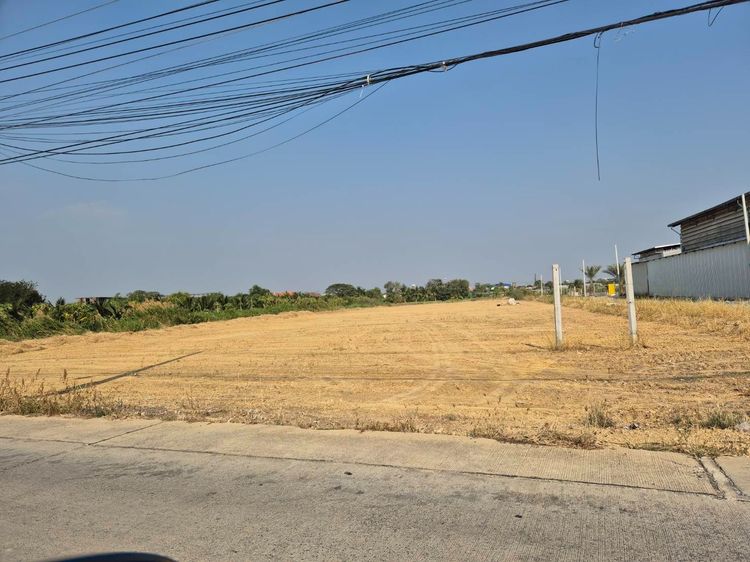 ขายที่ดิน สามพราน ทำเลดี แบ่งขาย รูปที่ 4