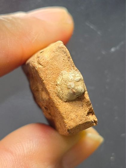 หลวงพ่อปาน รูปที่ 3