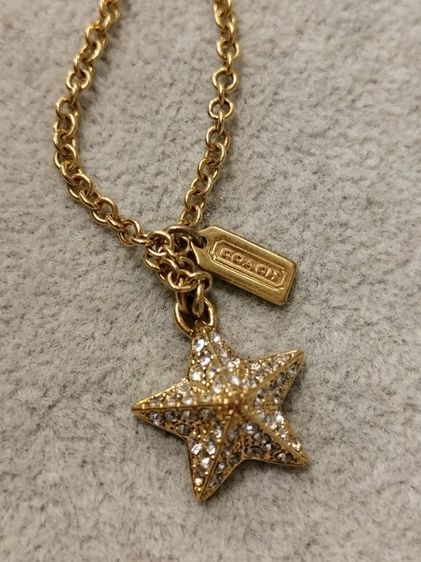 Coach​จี้ปลาดาว รูปที่ 3