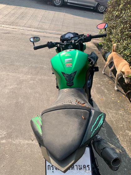 Kawasaki Z300 ปี2015 รูปที่ 4