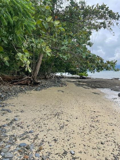 📌 ประกาศขายที่ดินติดหาด เกาะโหลน จังหวัดภูเก็ต  ขายยกแปลง สำหรับนักลงทุนเท่านั้น  ราคาเสนอขายประมาณ 75 ล้านบาท (ต่อรองได้ สำหรับผู้ซื้อจริง รูปที่ 4