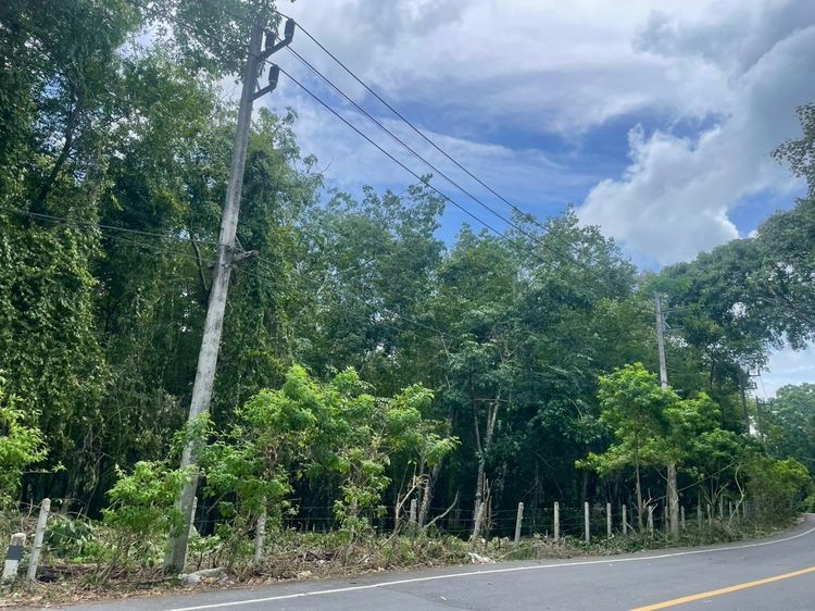 ขายด่วน ที่ดินบริเวณเขาขาด จังหวัด ภูเก็ต  รูปที่ 2