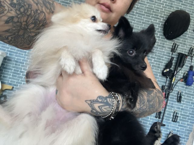 11 เดือนหาบ้าน