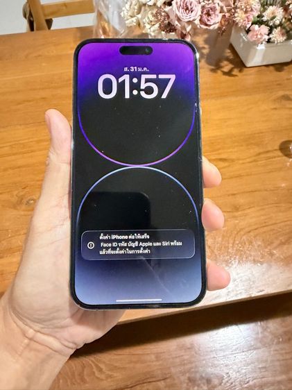 iPhone14ProMax