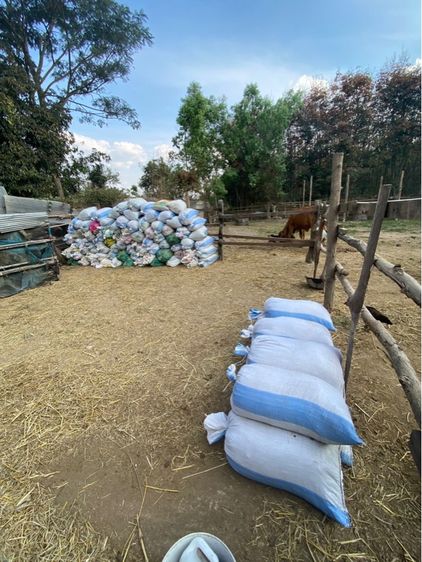 ปุ๋ยคอก รูปที่ 2