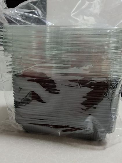 อื่นๆ ลด 9. กล่อง 750 mlPP S- Curve Box 23 ฝาใสไร้ฝ้า 2 ช่อง ( 4 แพค )