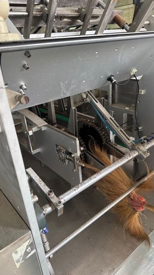 ขายเครื่องบรรจุและพับกล่องตามสภาพเปิดติด โล85บาท รูปที่ 8