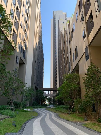 ปล่อยเช่าคอนโดนิวริเวอร์เราตึกบีชั้น9 22ตรม.