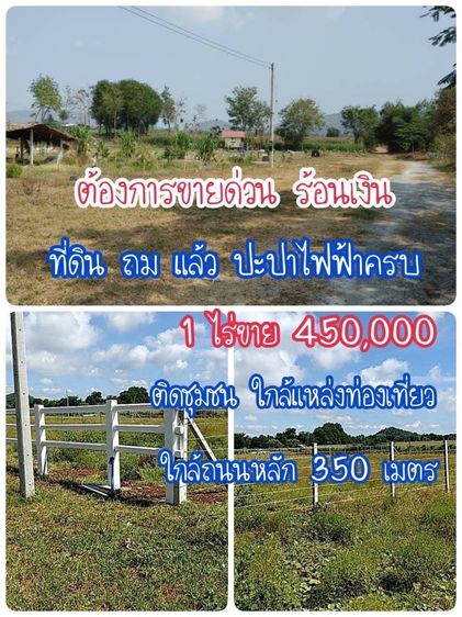 ต้องขายที่ดินด่วน