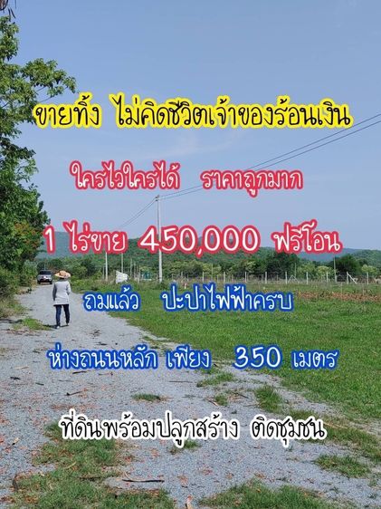 ต้องขายที่ดินด่วน รูปที่ 3