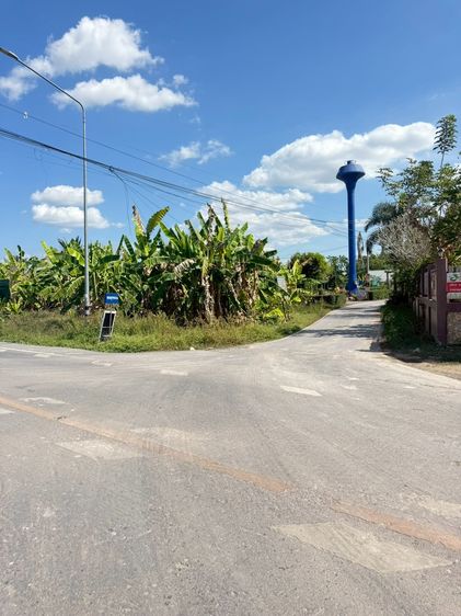 บ้านสวนร่มเย็น รูปที่ 2