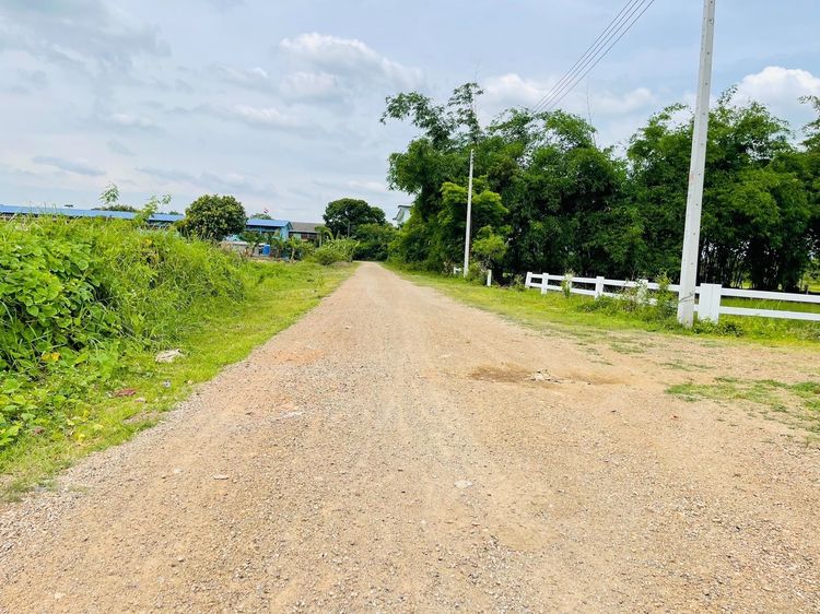 ที่ดินคลอง 13 บึงน้ำรักษ์ อ.ธัญบุรี จ.ปทุมธานี รูปที่ 4