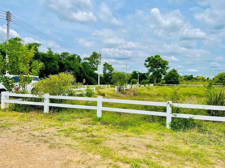 ที่ดินคลอง 13 บึงน้ำรักษ์ อ.ธัญบุรี จ.ปทุมธานี รูปที่ 3