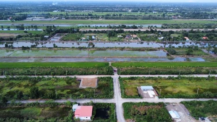 🎯ขายที่ดินคลอง11 หนองเสือ ปทุมธานี ฝั่งตะวันตก รูปที่ 4