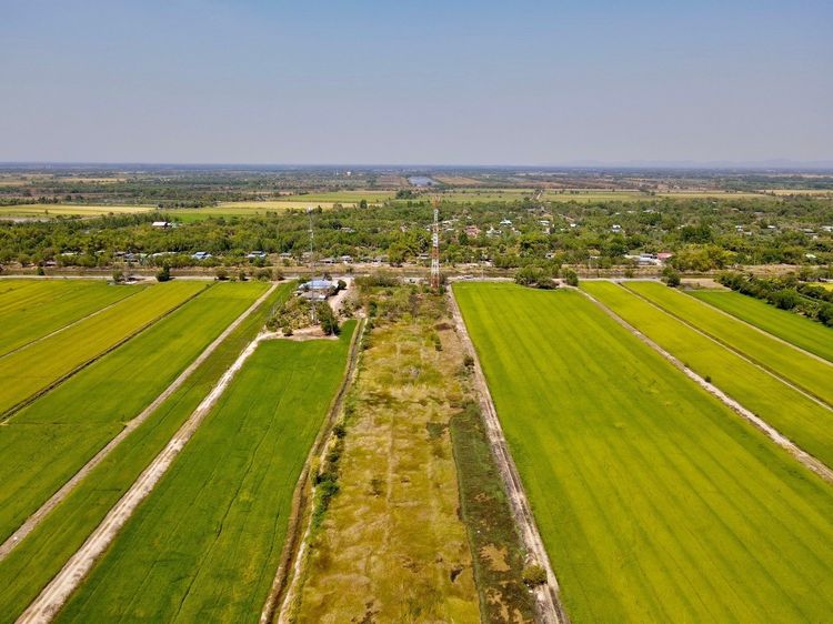 ที่ดินคลอง 30 ที่ดินเชิงเกษตร บ้านสวน ต.ทองหลาง อ.บ้านนา จ.นครนายก รูปที่ 3