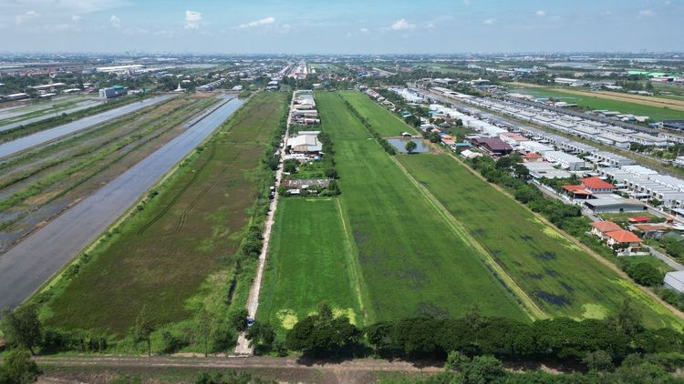 ที่ดินทำเลศักยภาพ คลองเจ็ด ลำลูกกา ปทุมธานี  เหมาะสำหรับที่พักอาศัย โฮมออฟฟิศ โกดังเก็บสินค้า รูปที่ 4