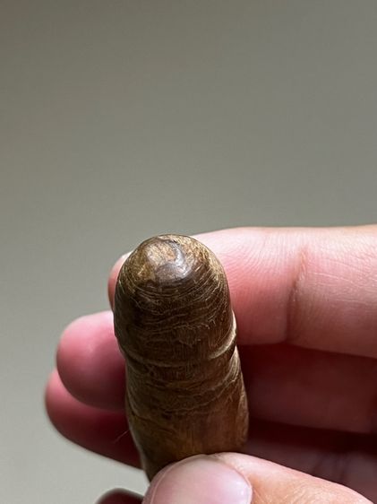 ปลัดขิกหลวงปู่เมฆ วัดลำกระดาน รูปที่ 3