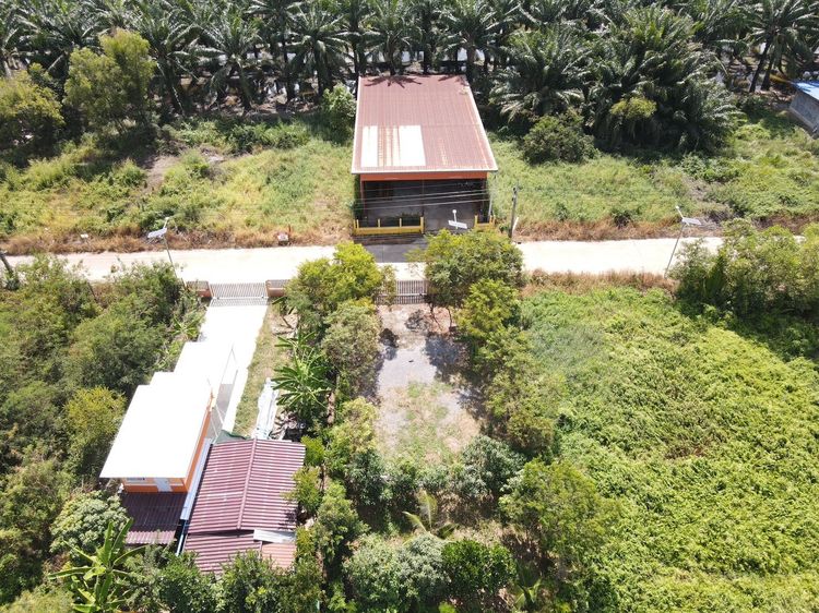 ♻️ที่ดินถมแล้วพร้อมสร้างบ้าน ปะปา ไฟฟ้า สาธารณูปโภคครบ คลอง 11 อ.หนองเสือ จ.ปทุมธานี รูปที่ 3