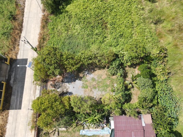 ♻️ที่ดินถมแล้วพร้อมสร้างบ้าน ปะปา ไฟฟ้า สาธารณูปโภคครบ คลอง 11 อ.หนองเสือ จ.ปทุมธานี รูปที่ 4