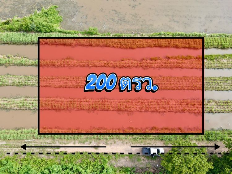 ❣️ขายที่ดินแปลงเล็ก เหมาะทำบ้านสวน คลอง 13 อ.หนองเสือ จ.ปทุมธานี รูปที่ 3