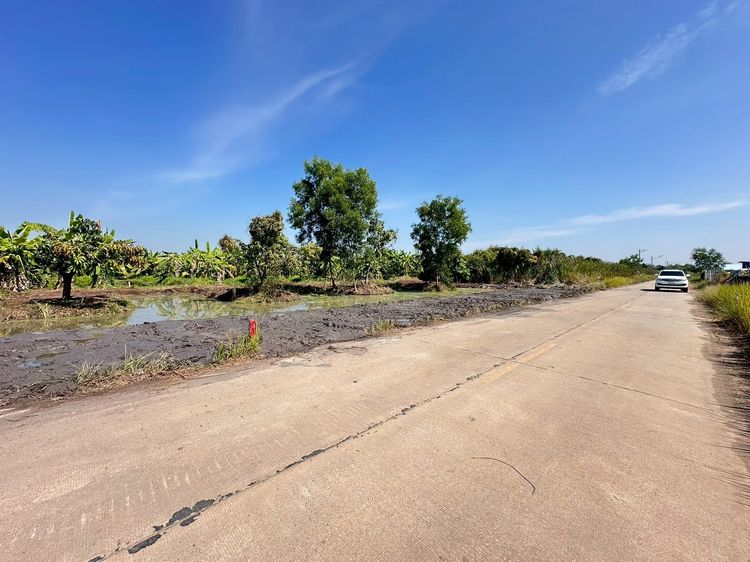 ขายที่ดินแปลงสวย ทำเลทอง คลอง 10 หนองเสือ ปทุมธานี รูปที่ 4