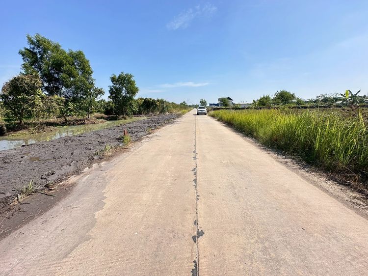 ขายที่ดินแปลงสวย ทำเลทอง คลอง 10 หนองเสือ ปทุมธานี รูปที่ 2