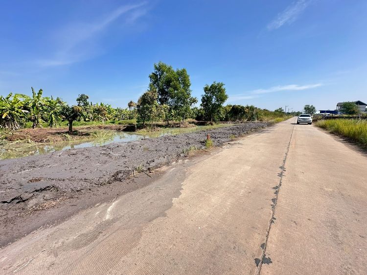 ขายที่ดินแปลงสวย ทำเลทอง คลอง 10 หนองเสือ ปทุมธานี รูปที่ 3