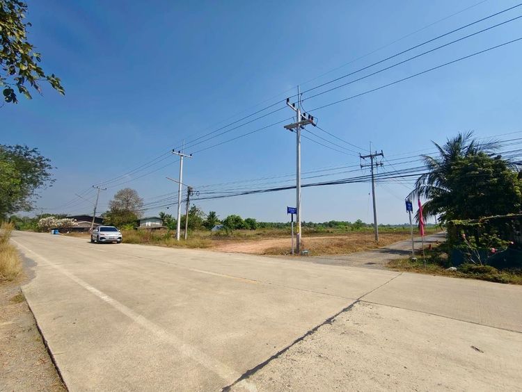 ขายด่วน ร้อนเงินร้อนใจ ขายถูก ที่สวยทำเลทอง คลอง8 ตำบลบึงชำอ้อ อำเภอหนองเสือ ปทุมธานี รูปที่ 3