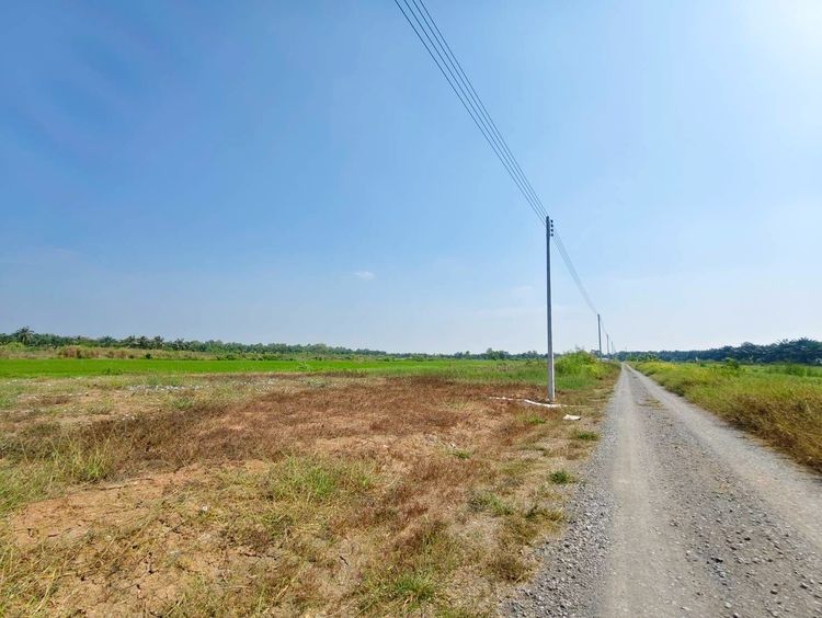 ขายด่วน ร้อนเงินร้อนใจ ขายถูก ที่สวยทำเลทอง คลอง8 ตำบลบึงชำอ้อ อำเภอหนองเสือ ปทุมธานี รูปที่ 4