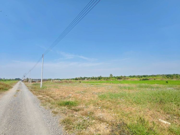 ขายด่วน ร้อนเงินร้อนใจ ขายถูก ที่สวยทำเลทอง คลอง8 ตำบลบึงชำอ้อ อำเภอหนองเสือ ปทุมธานี รูปที่ 2