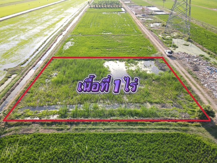 💥ที่ดินคลอง 8 ลำลูกกา ปทุมธานี ⭐️ ที่สวย ทำเลดี อนาคตไกล⭐️ รูปที่ 3