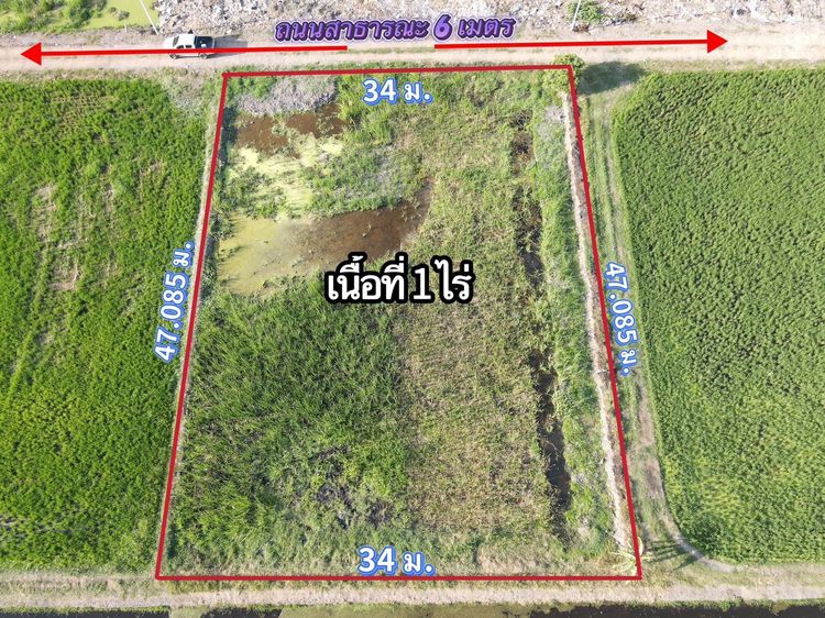 💥ที่ดินคลอง 8 ลำลูกกา ปทุมธานี ⭐️ ที่สวย ทำเลดี อนาคตไกล⭐️ รูปที่ 4