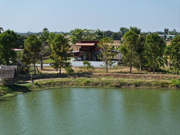 บ้านสวนสองชั้น บรรยายกาศดี ใกล้โรงเรียน ตำบลหนองหญ้าไซ อำเภอหนองหญ้าไซ จังหวัดสุพรรณบุรี รูปที่ 3