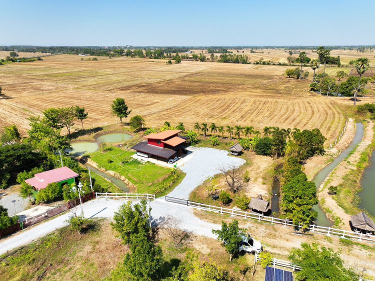 บ้านสวนสองชั้น บรรยายกาศดี ใกล้โรงเรียน ตำบลหนองหญ้าไซ อำเภอหนองหญ้าไซ จังหวัดสุพรรณบุรี รูปที่ 4