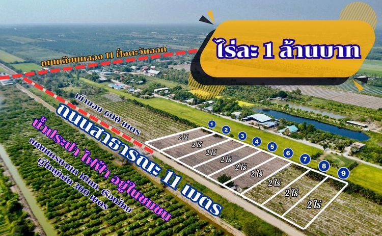 ที่ดินทำเลทอง ขายถูกไร่ละ 1 ล้านบาท ถนนกว้าง 11 เมตร น้ำประปา ไฟฟ้า ครบพร้อมใช้ ขายยกแปลง 2 ไร่ รูปที่ 3