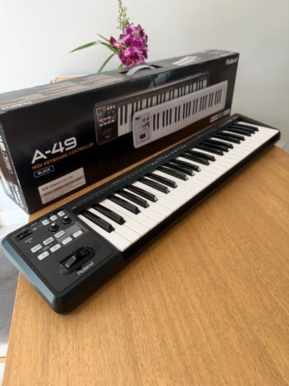 คีย์บอร์ดคุณภาพสูง Roland A-49 MIDI Keyboard Controller (49 Keys) — Like New
