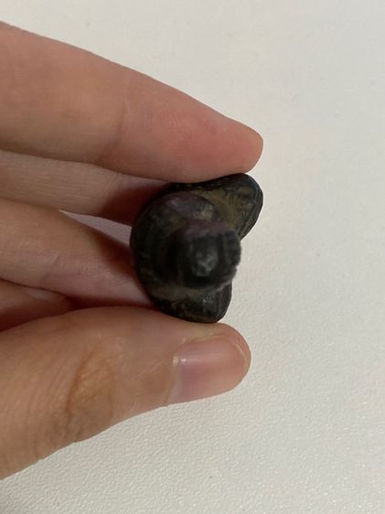 พระปิดตาไม่ทราบที่มา รูปที่ 6