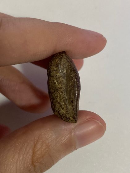 พระปิดตาไม่ทราบที่มา รูปที่ 7