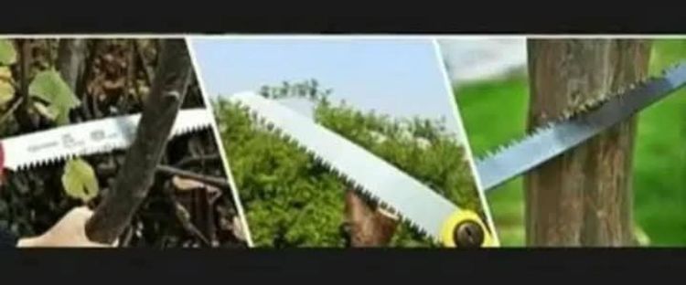 เลื่อยมือพกพา ใหม่ รูปที่ 3