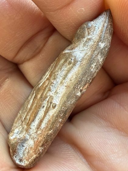 พระเหมาๆบ้านๆ พระคนแก่เก่าๆเก็บ ทิ้งใว้ก่อนจากไป 081-3330446 line tonyabu รูปที่ 9